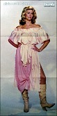 click to enlarge poster