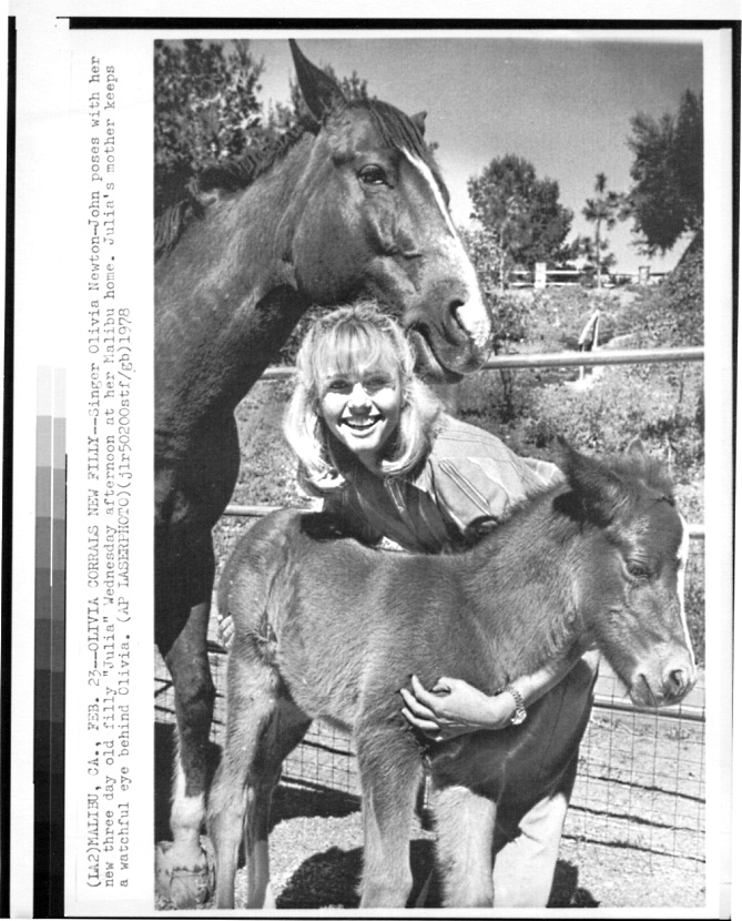 Olivia and her new foal Julia - Newswire