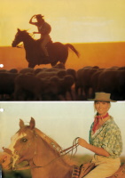 Olivia Newton-John article