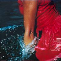 Physical LP back cover