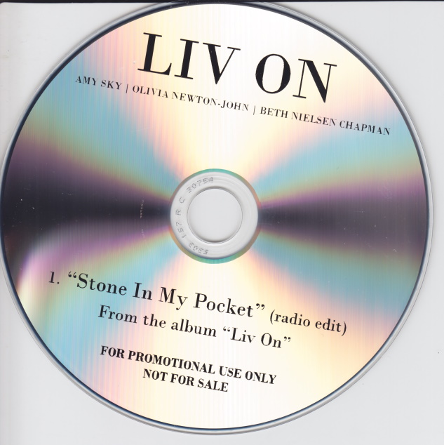 Stone In My Pocket
