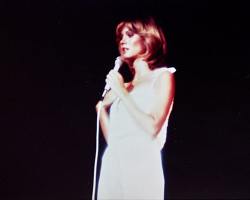 photo from The Case