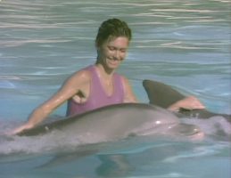 The Promise (The Dolphin Song) by Olivia Newton-John video
