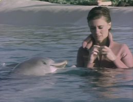 The Promise (The Dolphin Song) by Olivia Newton-John video