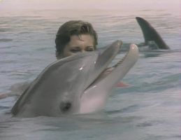 The Promise (The Dolphin Song) by Olivia Newton-John video